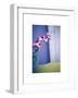 Orchids-unknown unknown-Framed Photo