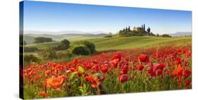 Orcia valley in spring, Tuscany (detail)-Fabio Muzzi-Stretched Canvas