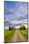 Orcia Valley, Tuscany, Italy. Tuscan Hills at Sunrise.-Marco Bottigelli-Mounted Photographic Print