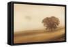 Orcia Valley, Tuscany, Italy.-ClickAlps-Framed Stretched Canvas