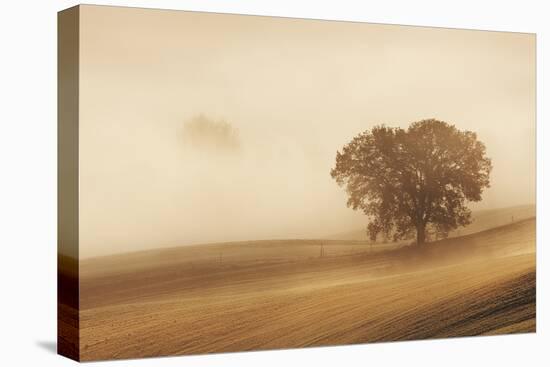 Orcia Valley, Tuscany, Italy.-ClickAlps-Stretched Canvas