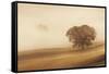 Orcia Valley, Tuscany, Italy.-ClickAlps-Framed Stretched Canvas