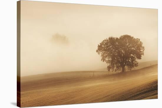 Orcia Valley, Tuscany, Italy.-ClickAlps-Stretched Canvas