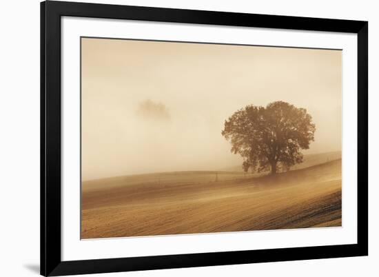 Orcia Valley, Tuscany, Italy.-ClickAlps-Framed Photographic Print