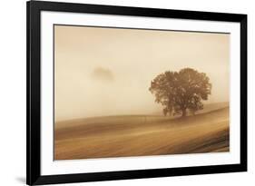 Orcia Valley, Tuscany, Italy.-ClickAlps-Framed Photographic Print