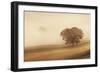 Orcia Valley, Tuscany, Italy.-ClickAlps-Framed Photographic Print