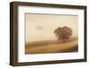 Orcia Valley, Tuscany, Italy.-ClickAlps-Framed Photographic Print