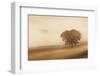 Orcia Valley, Tuscany, Italy.-ClickAlps-Framed Photographic Print