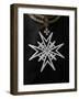 Order of Malta Cross, Paris, France, Europe-Godong-Framed Photographic Print