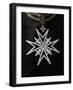 Order of Malta Cross, Paris, France, Europe-Godong-Framed Photographic Print