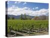 Orderly rows of vines in a typical Wairau Valley vineyard, Renwick, near Blenheim, Marlborough, Sou-Ruth Tomlinson-Stretched Canvas