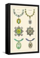 Orders of the Thistle and St. Patrick-Hugh Clark-Framed Stretched Canvas