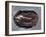 Ordovician Isotelus Gigas Trilobite Fossil-Kevin Schafer-Framed Premium Photographic Print