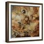 Ore-Farrell Douglass-Framed Giclee Print