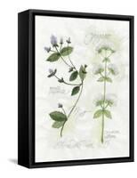 Oregano and Mint-Elissa Della-piana-Framed Stretched Canvas