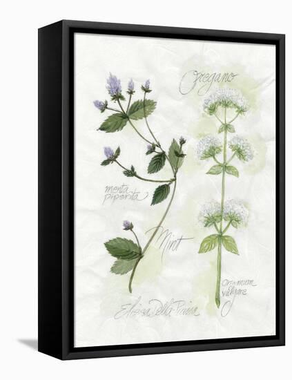 Oregano and Mint-Elissa Della-piana-Framed Stretched Canvas