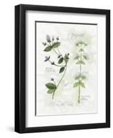 Oregano and Mint-Elissa Della-piana-Framed Art Print