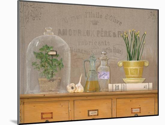 Oregano Library-Arnie Fisk-Mounted Art Print