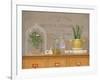 Oregano Library-Arnie Fisk-Framed Art Print