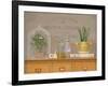 Oregano Library-Arnie Fisk-Framed Art Print