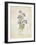 Oregano Vintage-Rosana Laiz Blursbyai-Framed Photographic Print