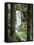 Oregon, a Waterfall in an Old Growth Forest-Christopher Talbot Frank-Framed Stretched Canvas