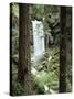 Oregon, a Waterfall in an Old Growth Forest-Christopher Talbot Frank-Stretched Canvas