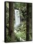 Oregon, a Waterfall in an Old Growth Forest-Christopher Talbot Frank-Framed Stretched Canvas