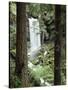 Oregon, a Waterfall in an Old Growth Forest-Christopher Talbot Frank-Stretched Canvas