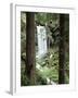Oregon, a Waterfall in an Old Growth Forest-Christopher Talbot Frank-Framed Photographic Print