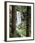 Oregon, a Waterfall in an Old Growth Forest-Christopher Talbot Frank-Framed Photographic Print