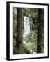 Oregon, a Waterfall in an Old Growth Forest-Christopher Talbot Frank-Framed Photographic Print