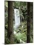 Oregon, a Waterfall in an Old Growth Forest-Christopher Talbot Frank-Mounted Photographic Print