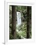 Oregon, a Waterfall in an Old Growth Forest-Christopher Talbot Frank-Framed Photographic Print