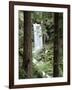 Oregon, a Waterfall in an Old Growth Forest-Christopher Talbot Frank-Framed Photographic Print