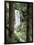 Oregon, a Waterfall in an Old Growth Forest-Christopher Talbot Frank-Framed Photographic Print