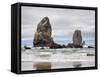 Oregon, Cannon Beach. Needle Seastack, stormy sky-Jamie and Judy Wild-Framed Stretched Canvas