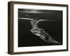 Oregon Coast, 1984-Brett Weston-Framed Photographic Print