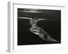 Oregon Coast, 1984-Brett Weston-Framed Photographic Print