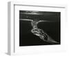 Oregon Coast, 1984-Brett Weston-Framed Photographic Print