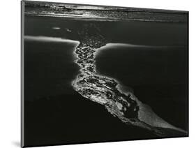 Oregon Coast, 1984-Brett Weston-Mounted Photographic Print