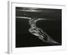 Oregon Coast, 1984-Brett Weston-Framed Photographic Print