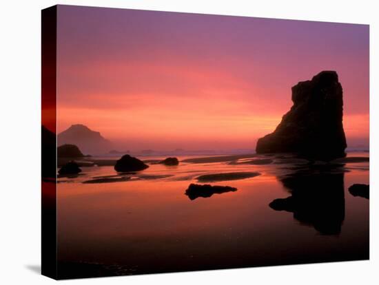 Oregon Coast at Sunset, USA-Marilyn Parver-Stretched Canvas