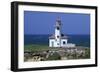 Oregon Coast, Cape Arago Lighthouse, on an Islet Off Gregory Point-Jamie And Judy Wild-Framed Photographic Print