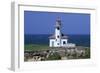 Oregon Coast, Cape Arago Lighthouse, on an Islet Off Gregory Point-Jamie And Judy Wild-Framed Photographic Print