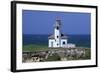 Oregon Coast, Cape Arago Lighthouse, on an Islet Off Gregory Point-Jamie And Judy Wild-Framed Photographic Print