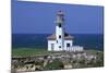 Oregon Coast, Cape Arago Lighthouse, on an Islet Off Gregory Point-Jamie And Judy Wild-Mounted Photographic Print