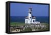 Oregon Coast, Cape Arago Lighthouse, on an Islet Off Gregory Point-Jamie And Judy Wild-Framed Stretched Canvas