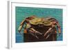 Oregon Coast - Dungeness Crab Vintage Postcard-Lantern Press-Framed Art Print