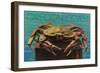 Oregon Coast - Dungeness Crab Vintage Postcard-Lantern Press-Framed Art Print